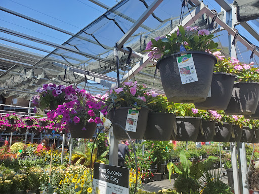 Home Improvement Store «The Home Depot», reviews and photos, 2055 N Figueroa St, Los Angeles, CA 90065, USA