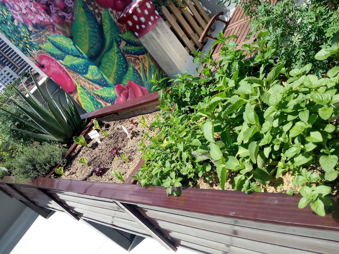 Fundación Salva Terra