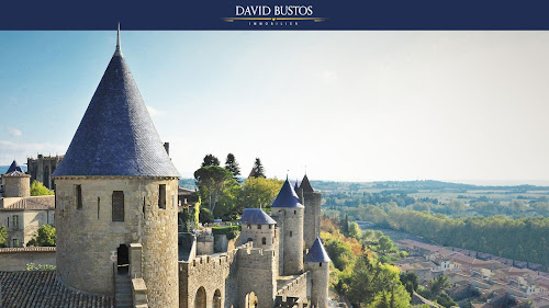 Agence immobilière DAVID BUSTOS IMMOBILIER Carcassonne