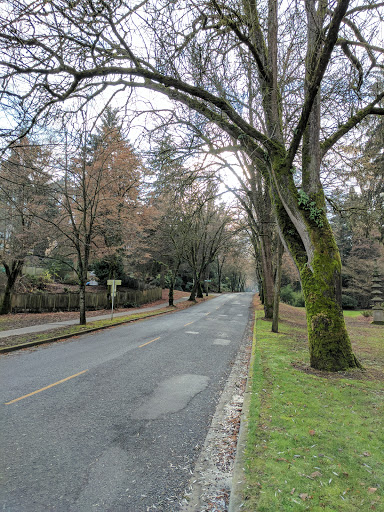 Park «Mt. Baker Park», reviews and photos, 2521 Lake Park Dr S, Seattle, WA 98144, USA