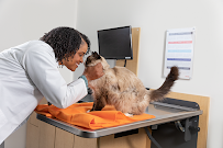 Banfield Pet Hospital - Photo 7 - Car repair in Seattle, WA, Seattle