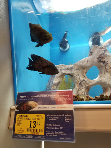 Pet Supply Store «PetSmart», reviews and photos, 31705 Pacific Hwy S, Federal Way, WA 98003, USA