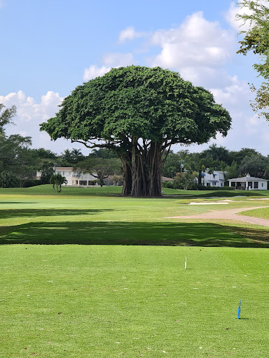 Golf Course «Biltmore Golf Course», reviews and photos, 1210 Anastasia Ave, Coral Gables, FL 33134, USA