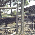 Photo n°28 de l'avis de bruno.a fait le 01/09/2017 à 18:21 sur le  Il Rustico La Casa degli Ulivi à Piedimonte Etneo