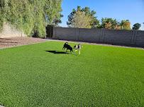 Crown & Blade Turf - Photo 2 - Car repair in , Mesa