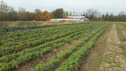 Clay Hill Organic Farm