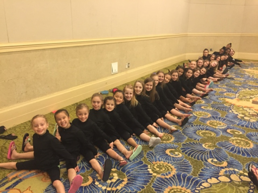 Gymnastics Center «1st Class Gymnastics», reviews and photos, 451 Defense Hwy, Annapolis, MD 21401, USA