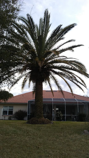 Golf Club «Citrus Hills Golf Country Club», reviews and photos, 509 E Hartford St, Hernando, FL 34442, USA