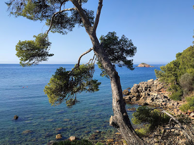 LOCATION BANDOL LES LANTANAS à Bandol