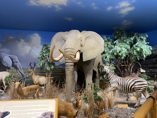 Zoo «Habitat Africa! The Forest», reviews and photos, 3300 Golf Rd, Brookfield, IL 60513, USA