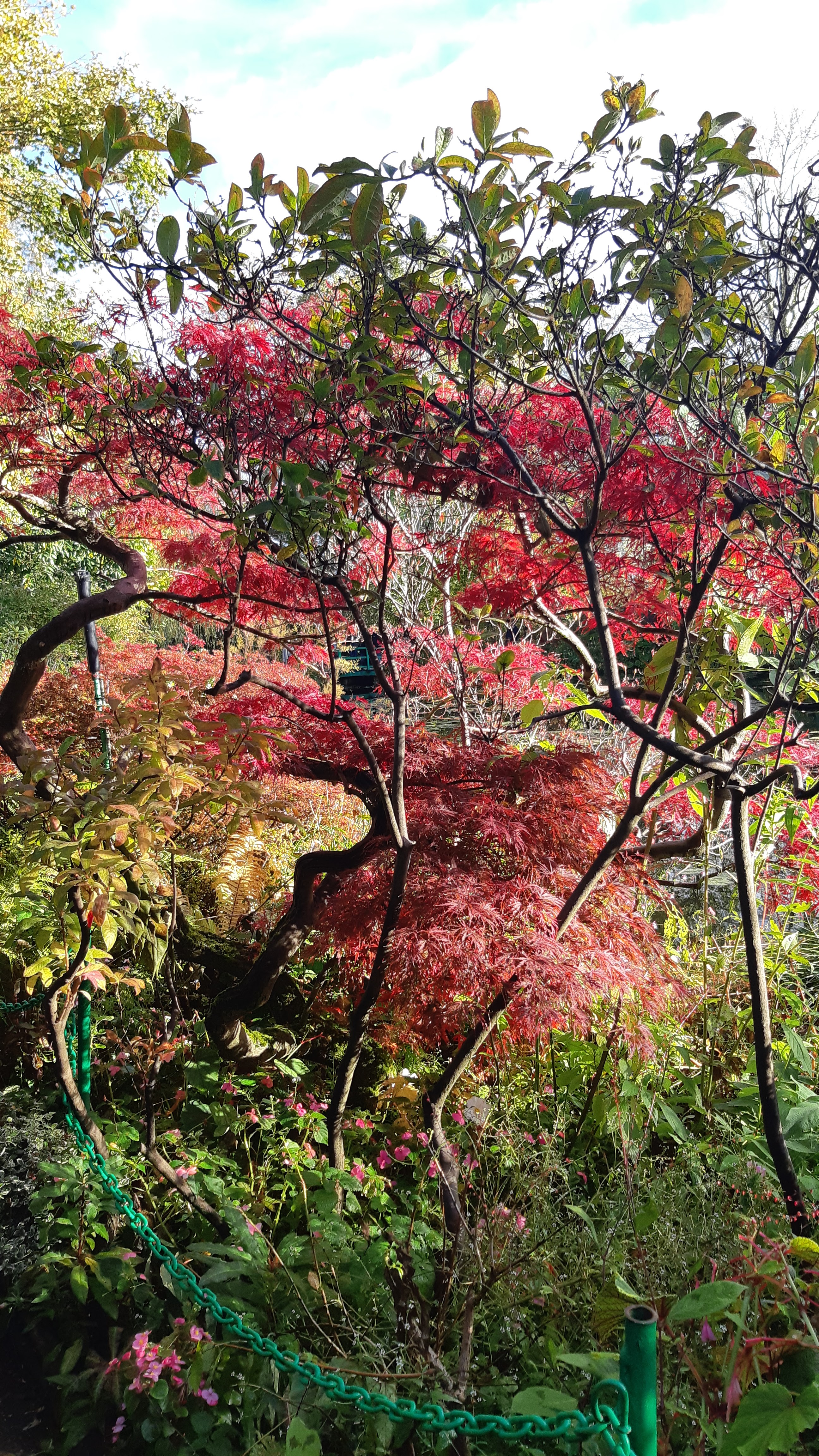 Photo n° 6 de l'avis de Jeanine.i fait le 02/11/2021 à 13:30
