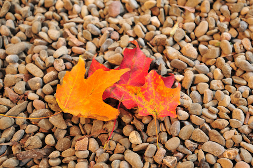 Bed & Breakfast «1795 Acorn Inn Bed and Breakfast», reviews and photos, 4508 NY-64, Canandaigua, NY 14424, USA