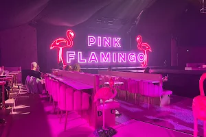 Pink Flamingo Spiegeland Brisbane image