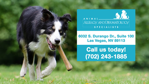 Animal Allergy & Dermatology Specialists image