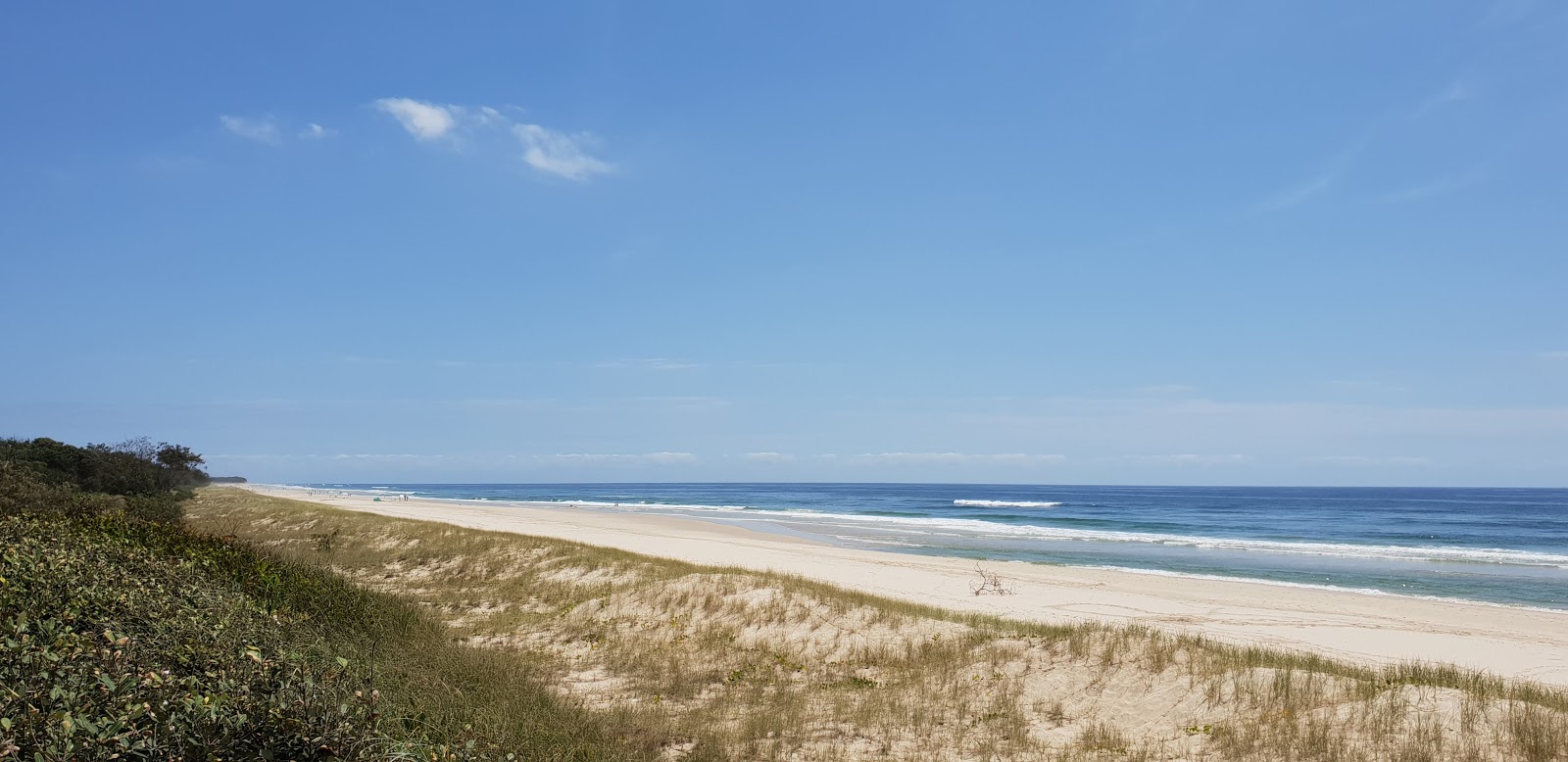 Casuarina Beach的照片 带有碧绿色纯水表面