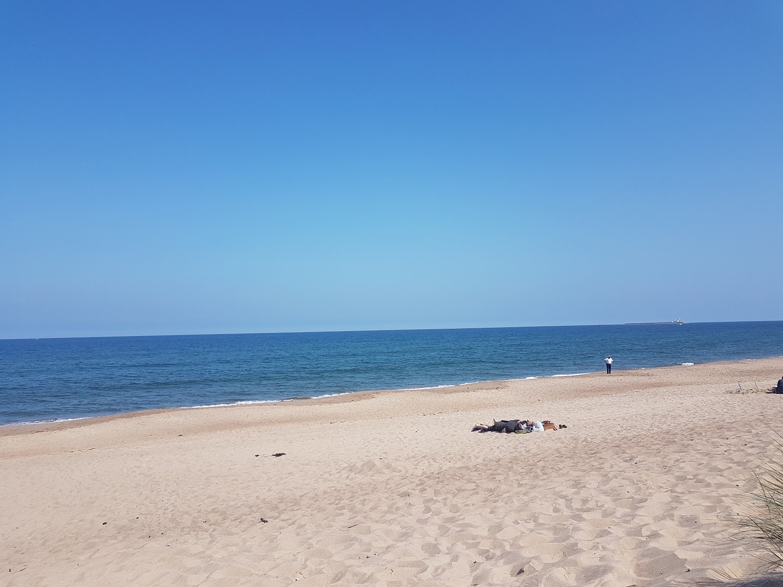 Foto di Spiaggia di Warkworth con una superficie del sabbia beige