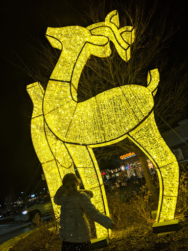 Variety Store «Five Below», reviews and photos, 30 Highland Common E, Hudson, MA 01749, USA