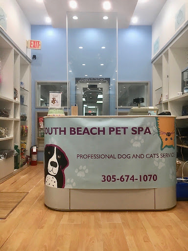 Pet Store «South Beach Pet Shop», reviews and photos, 634 6th St, Miami Beach, FL 33139, USA