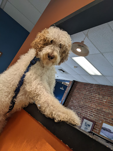 Pet Store «The Pet Works», reviews and photos, 407 4th Ave E, Olympia, WA 98501, USA