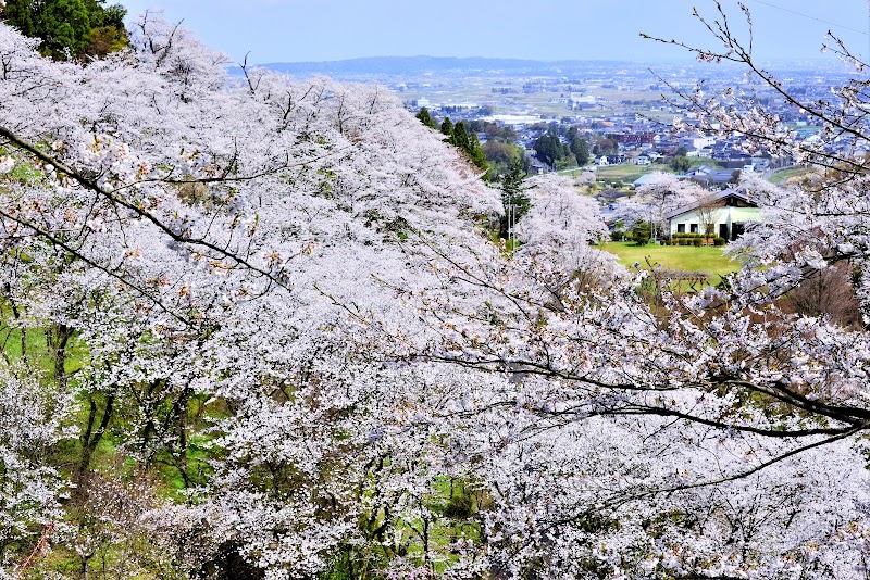 城ヶ山公園