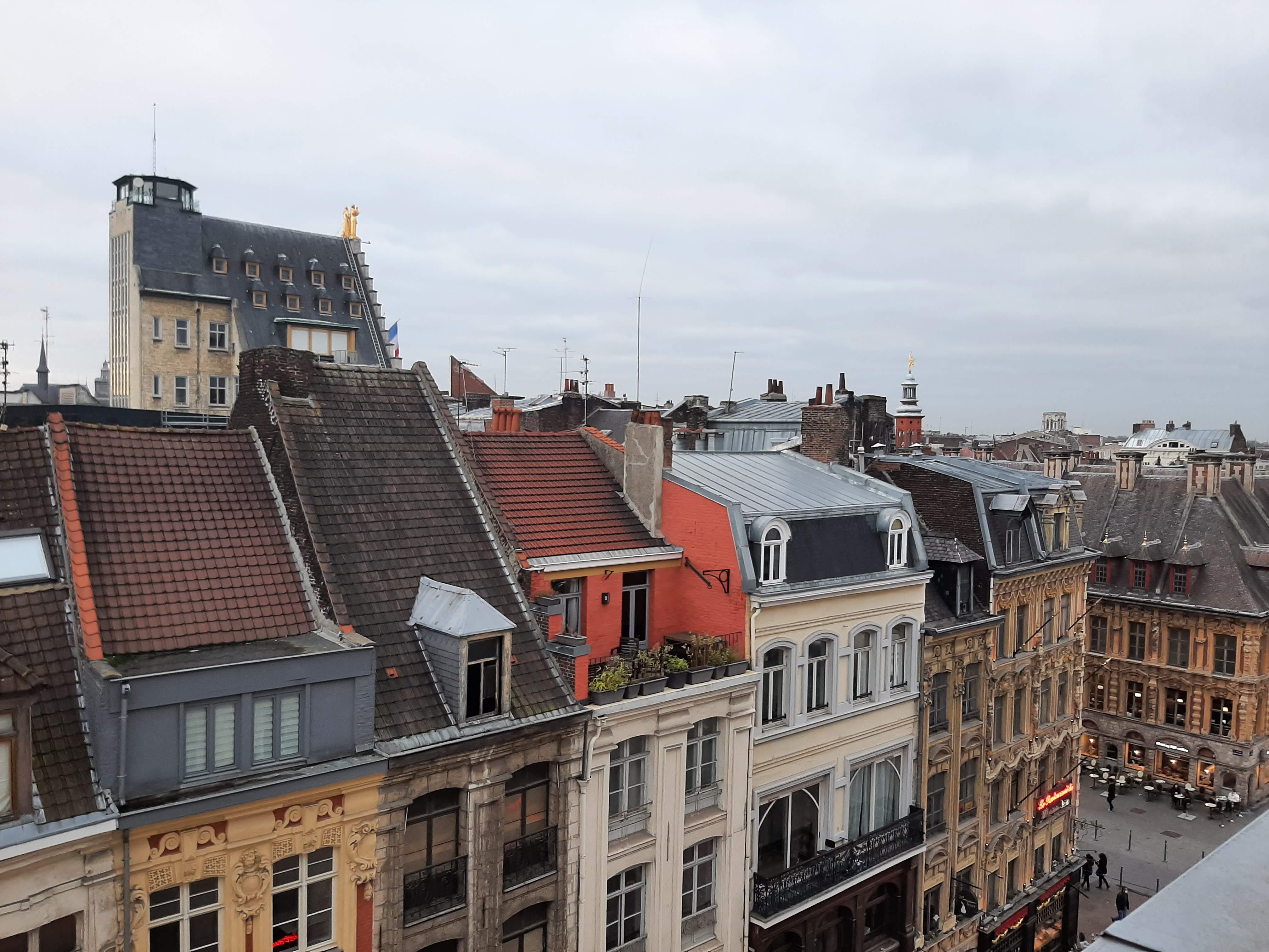 Photo n° 14 de l'avis de Gilles.a fait le 14/11/2021 à 13:34