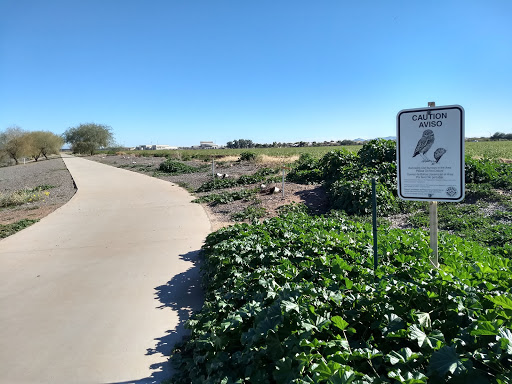 Park «Zanjero Park», reviews and photos, 3785 S Lindsay Rd, Gilbert, AZ 85297, USA