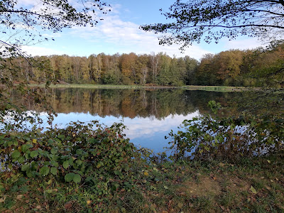 Lac des Sept Chevaux à Luxeuil-les-Bains