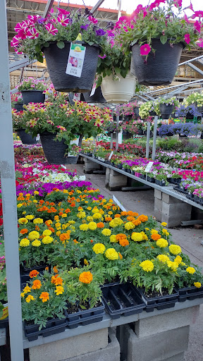 Home Improvement Store «The Home Depot», reviews and photos, 955 Bloomfield Ave, Clifton, NJ 07012, USA