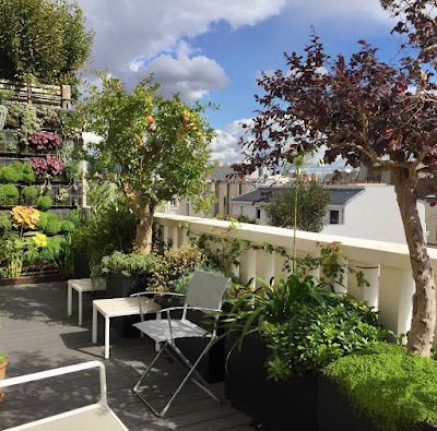 Terrasse et Jardin De Paris sud 14 à Paris