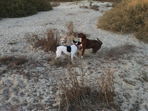 Fiesta Island Park