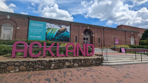 Art Museum «Ackland Art Museum», reviews and photos, 101 S Columbia St, Chapel Hill, NC 27599, USA