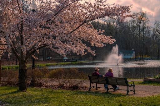 Park «Grover Cleveland Park», reviews and photos, Brookside Ave & Runnymede Rd, Essex Fells, NJ 07021, USA