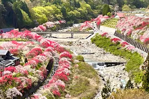 Hanamomo-no-Sato Peach Blossom Village image