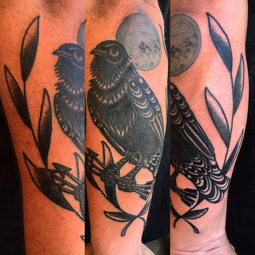 Explore lioness tattoo ideas for females, creative tattoo ideas in Fort Collins, available at Parabrahma Tattoo Collective