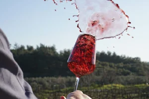 ÇAKIR Winery & Vineyards/ ÇAKIR Şarapçılık & Bağcılık image