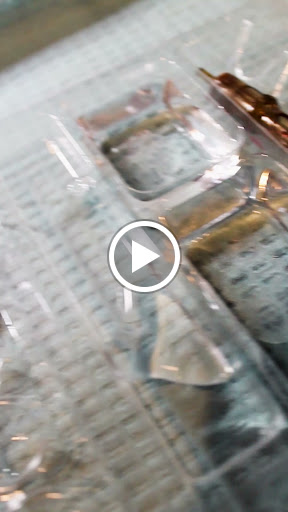 Tattoo Shop «Fallen Sparrow Tattoo Co», reviews and photos, 5049 W Irlo Bronson Memorial Hwy, Kissimmee, FL 34746, USA