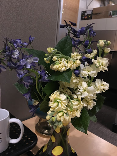 Florist «Flower Patch», reviews and photos, 4370 300 W, Salt Lake City, UT 84107, USA