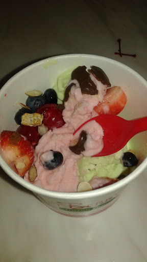 Sweetberry Frozen Yogurt