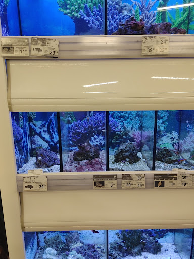 Pet Supply Store «Petco Animal Supplies», reviews and photos, 1933 South Rd, Poughkeepsie, NY 12601, USA