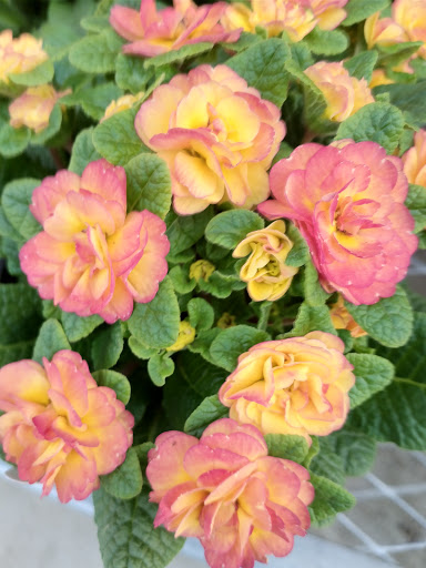 Home Improvement Store «The Home Depot», reviews and photos, 9615 Diamond Centre Dr, Mentor, OH 44060, USA