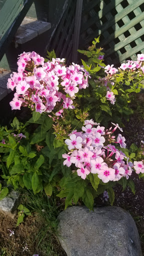 Aquarium «Maine State Aquarium», reviews and photos, 194 McKown Point Rd, West Boothbay Harbor, ME 04575, USA