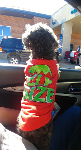 Auto Repair Shop «City Garage Auto Repair & Oil Change #6», reviews and photos, 4015 Frankford Rd, Dallas, TX 75287, USA