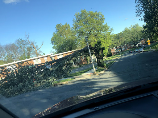 Funeral Home «Wylie Funeral Home», reviews and photos, 701 N Mount St, Baltimore, MD 21217, USA