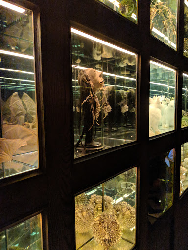 Night Club «1 Oak», reviews and photos, 453 W 17th St, New York, NY 10011, USA