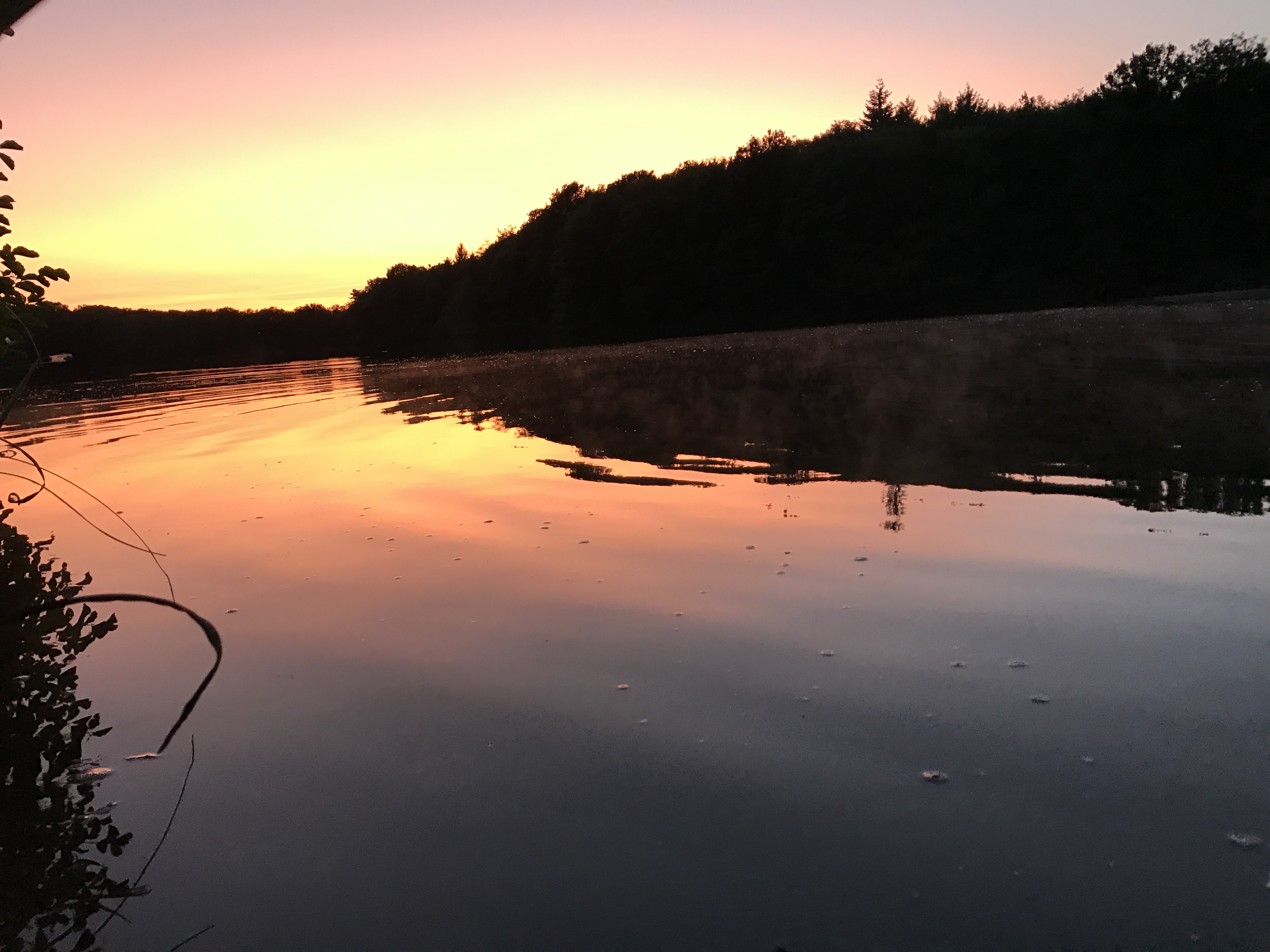 Photo n° 1 de l'avis de Elly.o fait le 26/08/2017 à 15:03