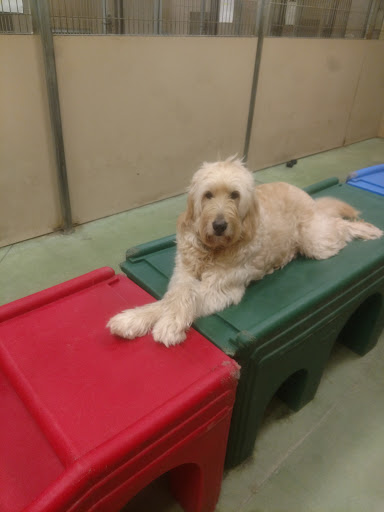 Pet Supply Store «PetSmart», reviews and photos, 9277 159th St, Orland Hills, IL 60487, USA