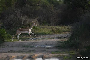Jhunjhunu Beed Conservation Reserve image