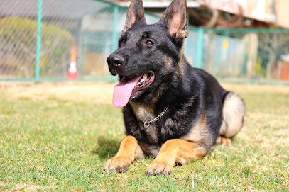 山梨愛犬訓練学校