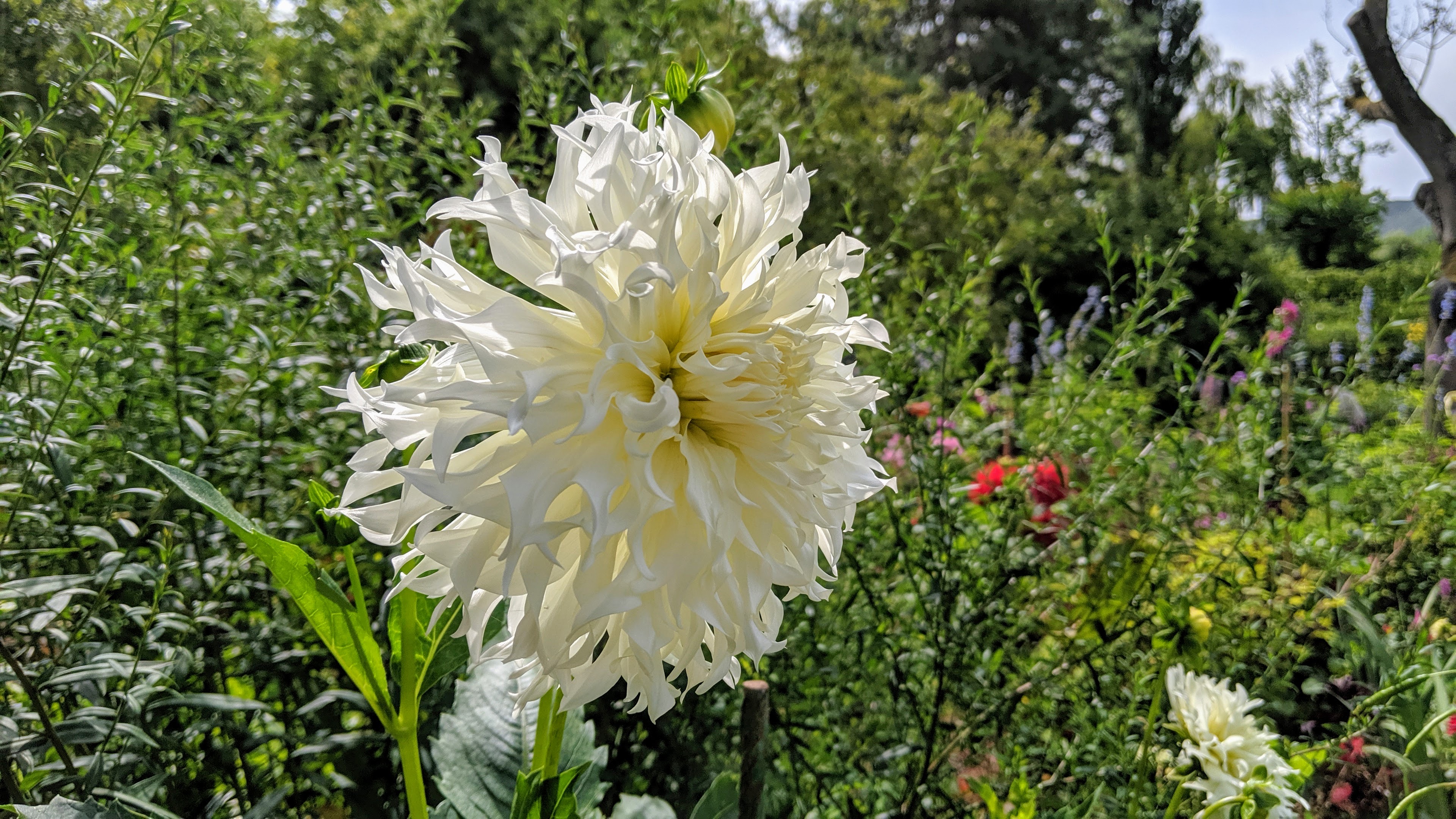 Photo n° 33 de l'avis de Tristan.a fait le 09/08/2021 à 16:22