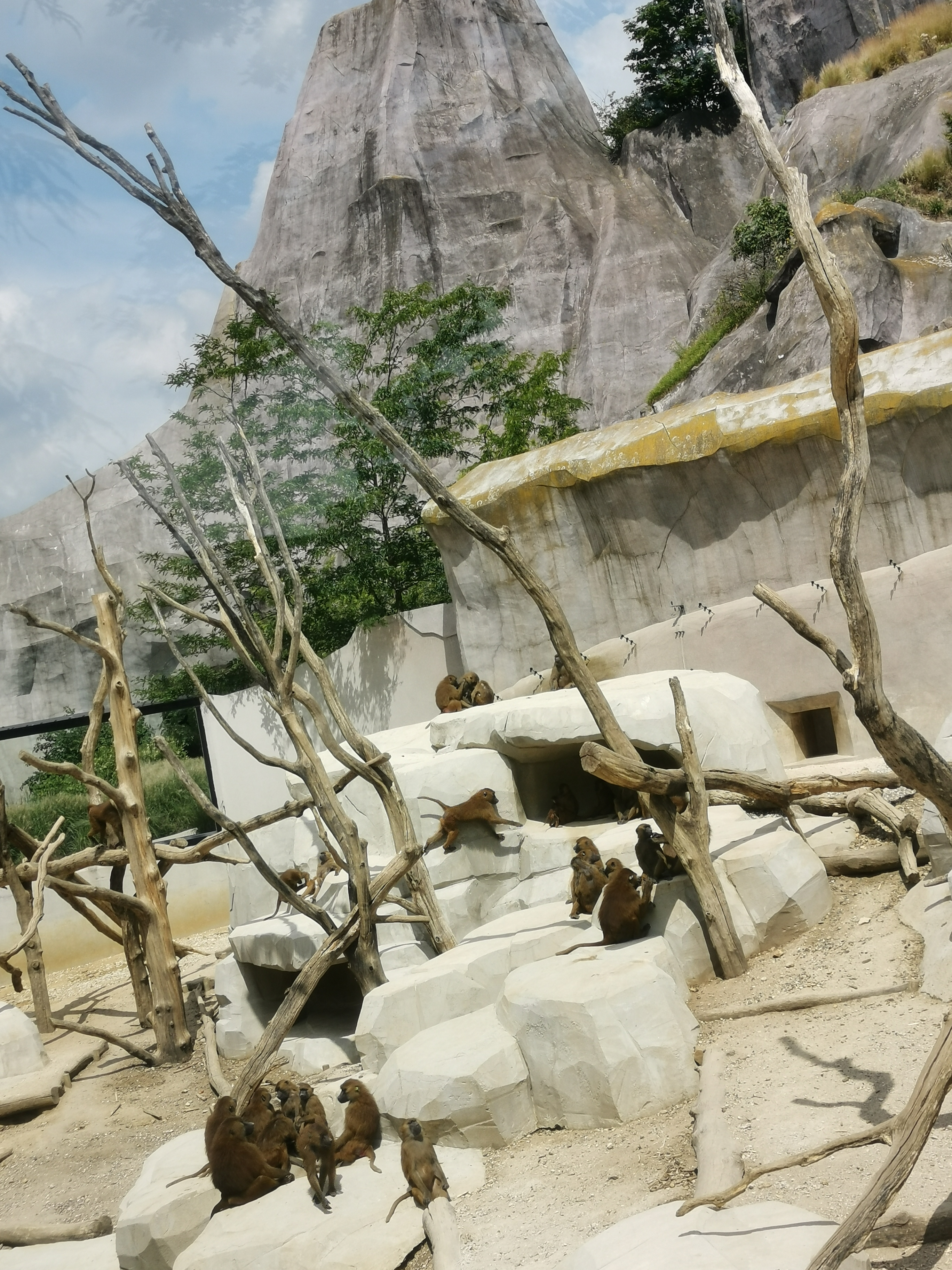 Photo n° 6 de l'avis de N1n1ce. fait le 27/04/2018 à 22:54